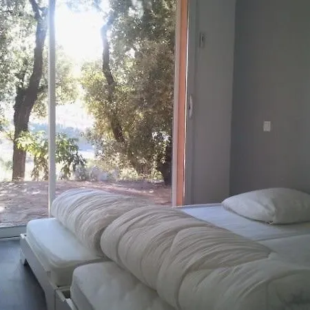 Apartment De Charme Terrasse Solarium Au Calme Collioure