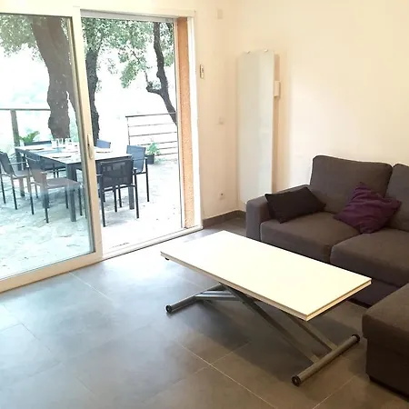 Apartment De Charme Terrasse Solarium Au Calme Collioure