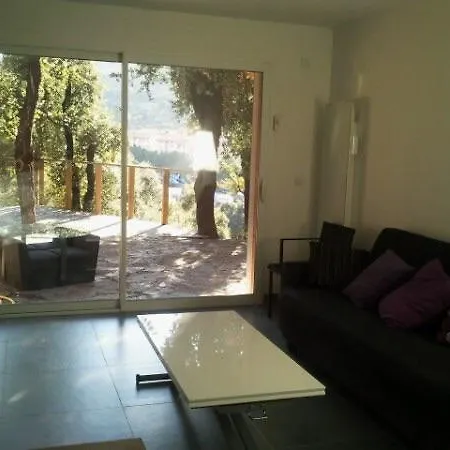 Apartment De Charme Terrasse Solarium Au Calme Collioure