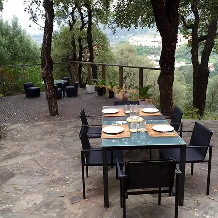 Apartment De Charme Terrasse Solarium Au Calme Collioure